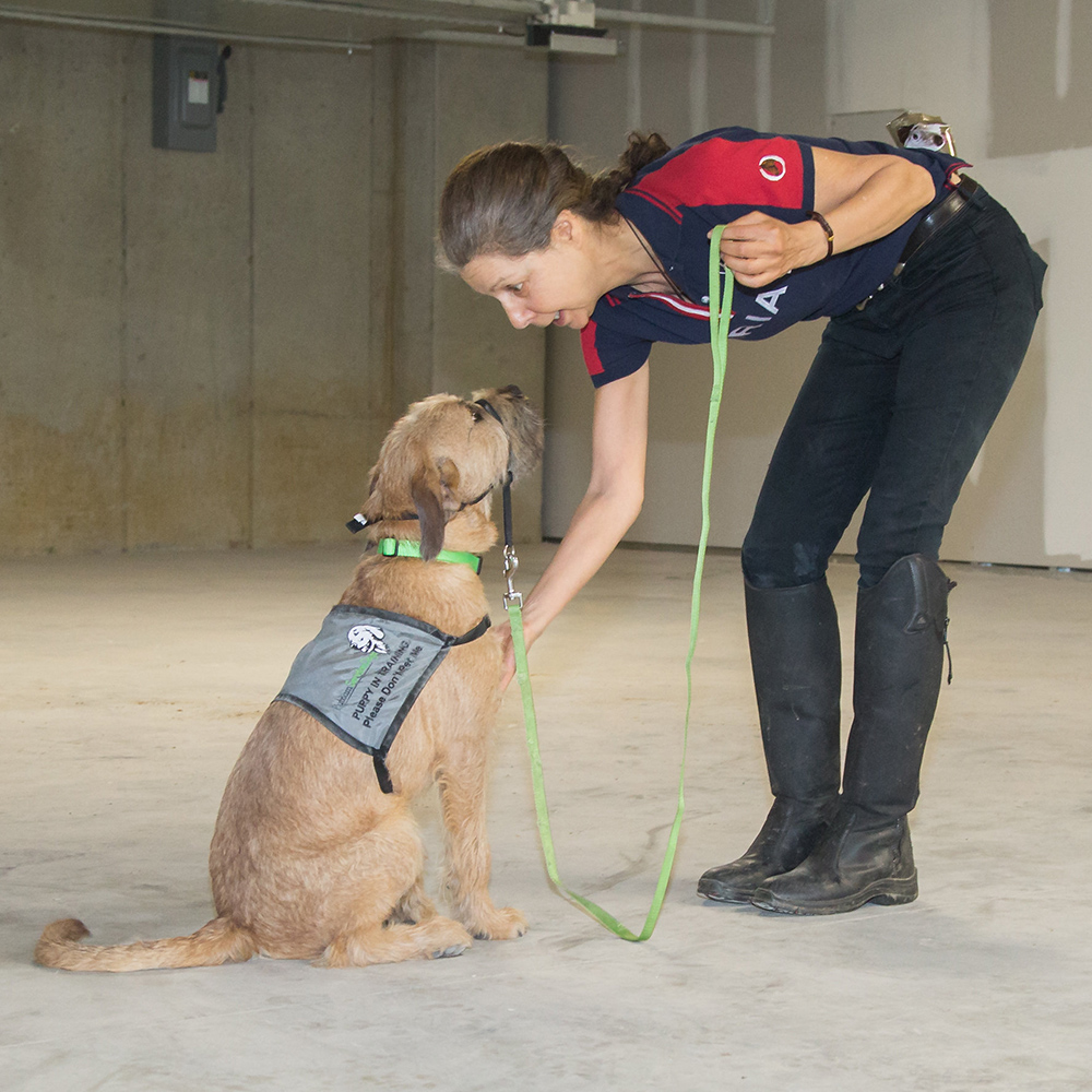 Benji with trainer