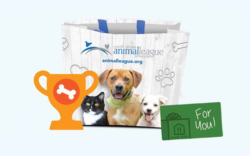 nsala_walkandwag_2023_reward3