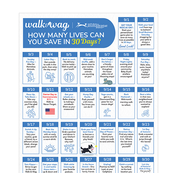 nsala_walkandwag_2023_web_calendar