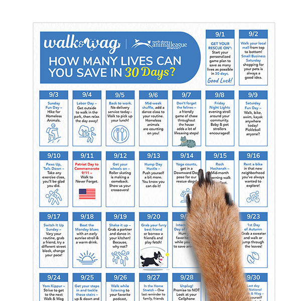 nsala_walkandwag_2023_web_calendar_1