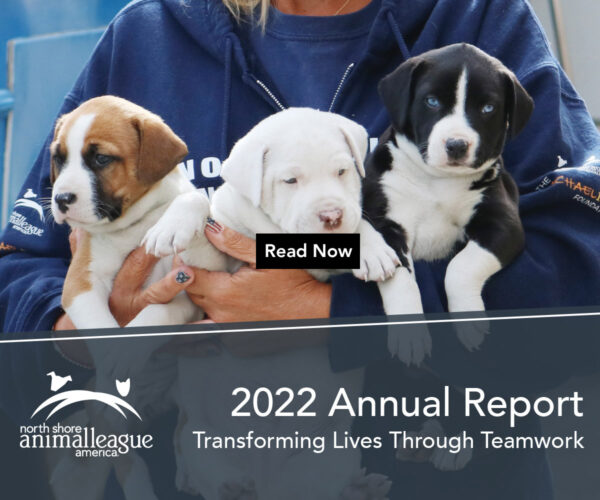 2022 Annual Report