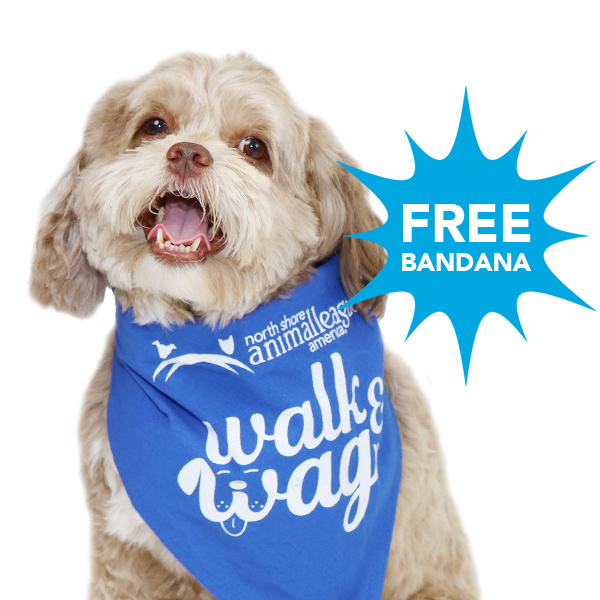 nsala_ww_web_bandana_1