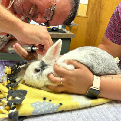 Stephen at vet.