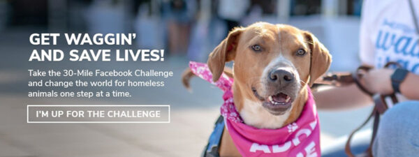 Walk & Wag 30 Mile Facebook Challenge