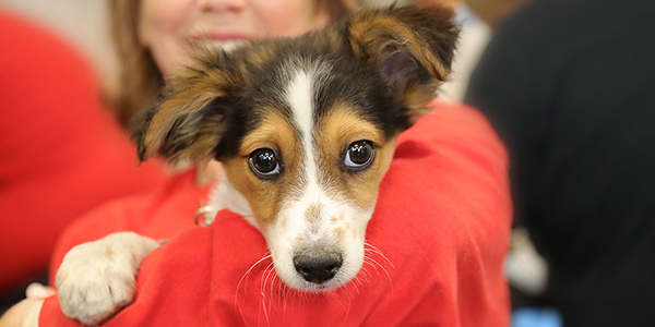 nsal_assets_image_pa_backgrounds_pre_nofade_2024_mob1