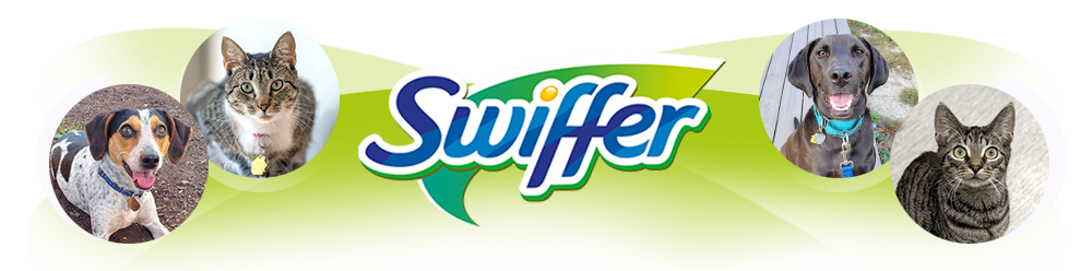 nsal_assets_image_pa_swiffer_2024