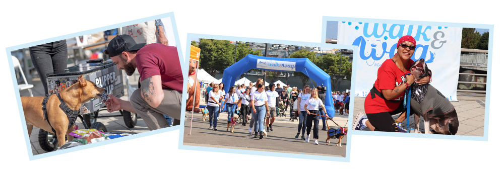 nsala_walkandwag_2024_finale_1a