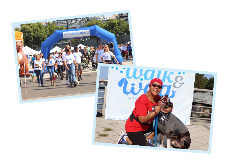 nsala_walkandwag_2024_finale_1a_mob